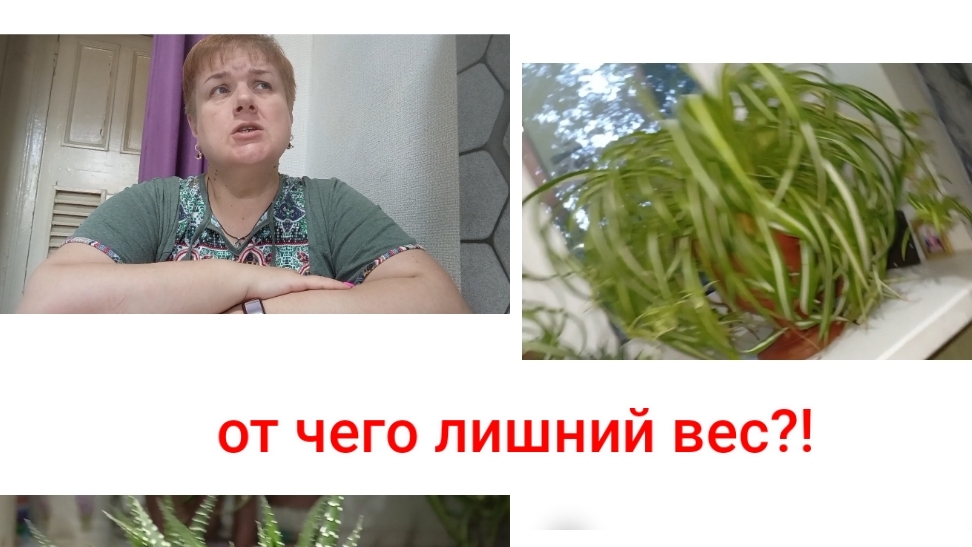 С праздником!/ Рассуждение на тему,лишний вес,как психосоматика!!! смотреть онлайн