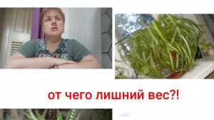 С праздником!/ Рассуждение на тему,лишний вес,как психосоматика!!!