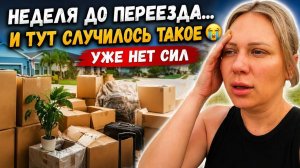 Лиса в Америке. Переезд под угрозой？ Я уже на пределе! Никто не ожидал такого⧸Многодетная семья в СШ