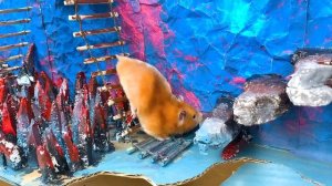 ПОБЕГ МИЛОГО ХОМЯКА! 🐹 Радужный лабиринт Поп-Ит (Pop It) прямо над бассейном с водой! 🌈