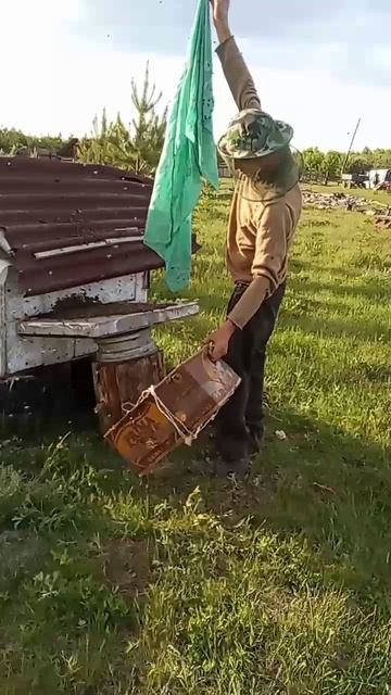 Заселение пчел в новый домик, 8.06.26