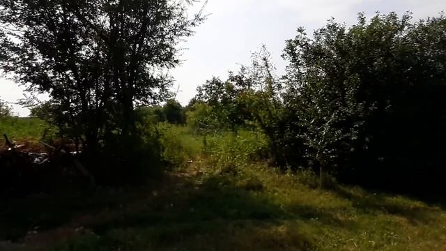 #Балашов. Саратовская область. Увиденное очень расстроило..
