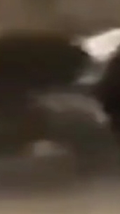 попробуй не засмеяться смотреть онлайн