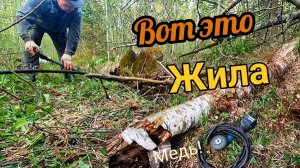 Медный кабель! Но есть нюанс