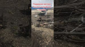 Обзор огорода у дяди Вити на 23.04.26. убираюсь в огороде навожу порядок. #сад #огород #теплица #...