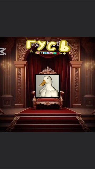 вы это не видели