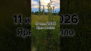 11 июня 2026 #гороскопсегодня
