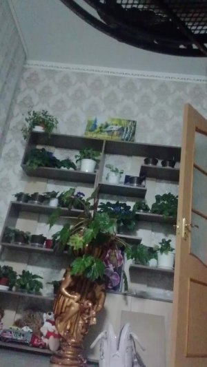 не знаю