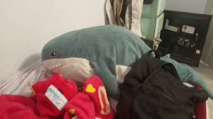 Типичныи мои вещи в школу