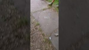 токсичный запах пластика.