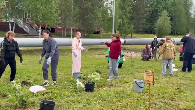 Сад памяти – 2026