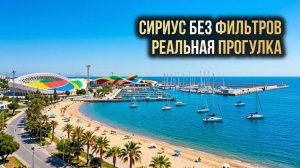 Сириус: от Автодрома до Морского порта.