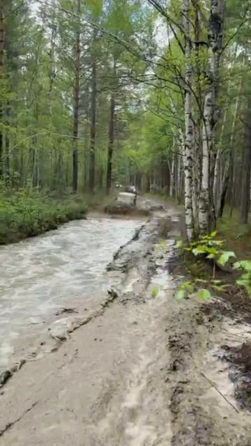 🚨 Москвичи приехали на Байкал и не ожидали, ЧТО их ждёт дальше...