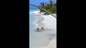 Золото под ногами .