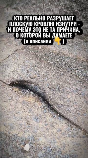 КТО РЕАЛЬНО РАЗРУШАЕТ ПЛОСКУЮ КРОВЛЮ ИЗНУТРИ - И ПОЧЕМУ ЭТО НЕ ТА ПРИЧИНА, О КОТОРОЙ ВЫ ДУМАЕТЕ