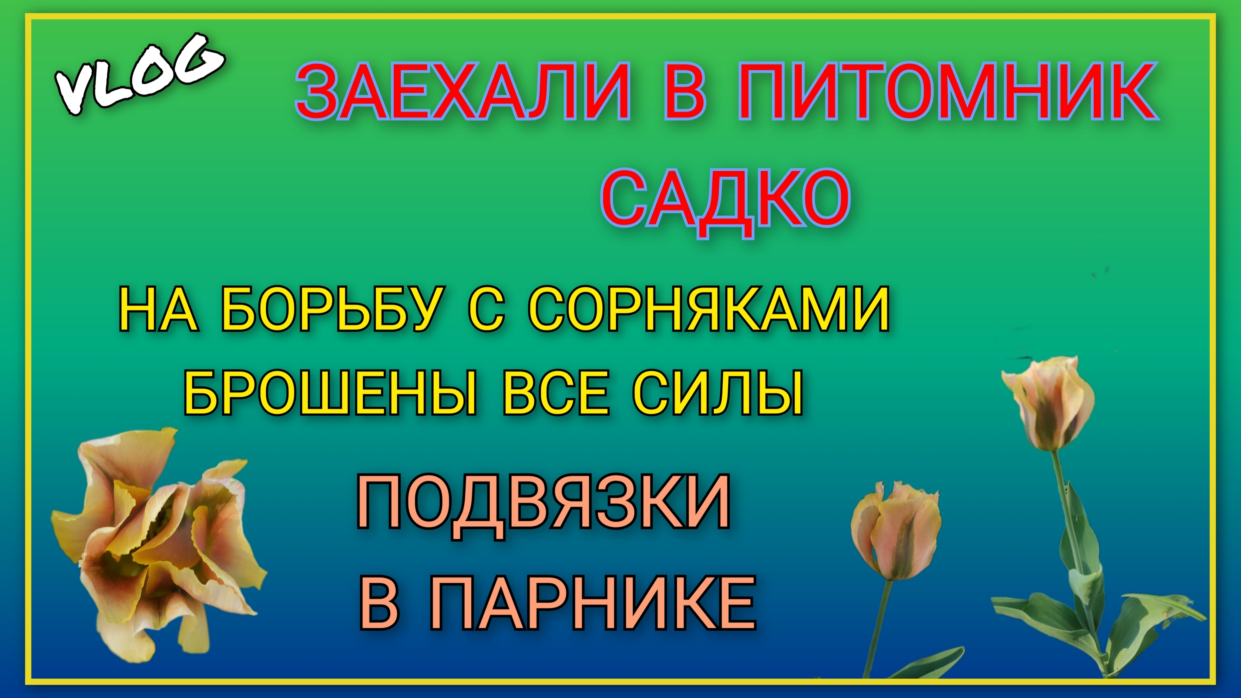 🍒 Заехали в питомник Садко, скидки/ На борьбу с сорняками брошены все силы/ Подвязки для рассады