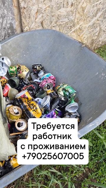 работа с проживанием