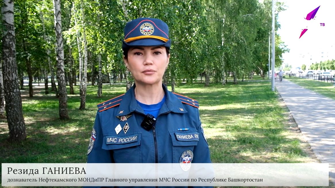 Тополиный пух легко воспламеняется и быстро горит
