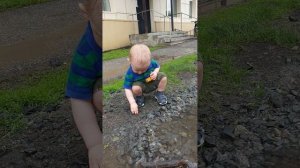 Рома гуляет 11.06.2026