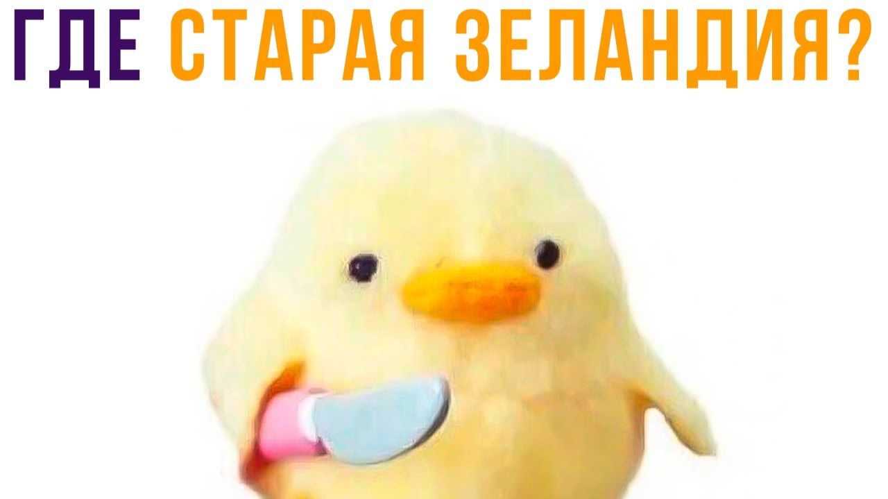ГДЕ СТАРАЯ ЗЕЛАНДИЯ?? Приколы смотреть онлайн