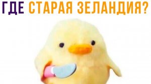 ГДЕ СТАРАЯ ЗЕЛАНДИЯ?? Приколы
