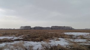 Весна 2026 / поиск с металлоискателем