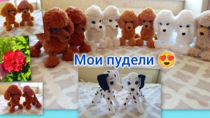 Дневник Белки с дачи , от моточка до кабачка / Вяжу понемногу заказ/ подарочек - мечта 😍