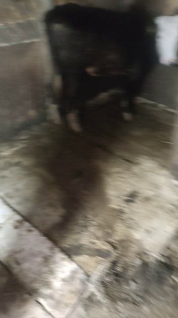Девчонки смотреть онлайн