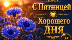 С Пятницей ☀️ Отличного Настроения и Хорошего Дня