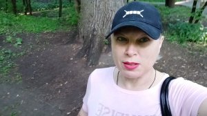 Самому старому дереву Москвы 438 лет