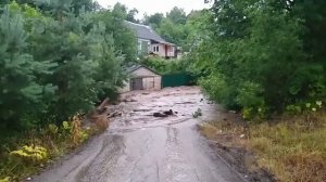 Случаи в Природе Один на Миллион