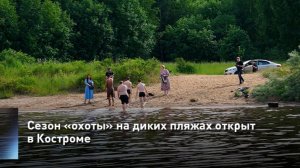 Сезон «охоты» на диких пляжах открыт в Костроме