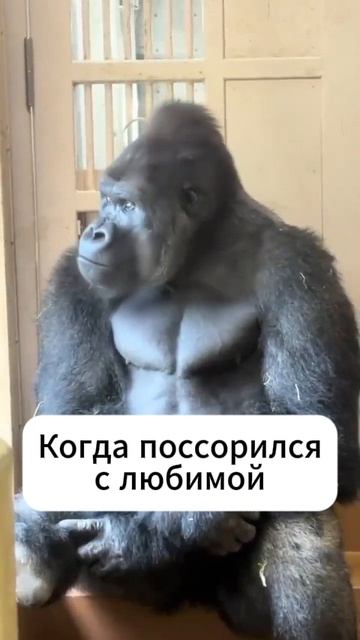 Когда поссорился с любимой #отношения