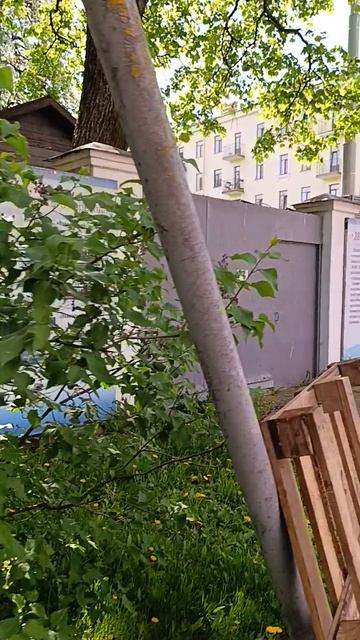 Поездка в Кронштадт эпизод 8:  практически незаметно в кустах история морфлота