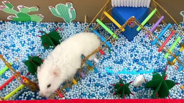 Сможет ли хомяк пройти опасный лабиринт Garten of Banban и обхитрить монстра Джамбо Джоша