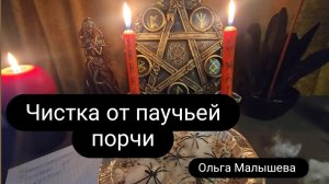 Ритуал чистка от паучьей или паутинной порчи