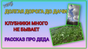 🍒 VLOG: Долгая дорога до дачи/ Арматура/ Клубники много не бывает/ Рассказ про моего деда