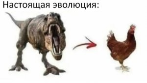 Пвп в pokemon brick bronze forever