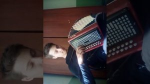 туман сектор газа. на гармошке.