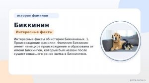 Изучаем происхождение и значение фамилии Биккинин: узнайте все о склонении и истории этой фамилии