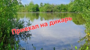 Ловлю рыбу в забытом болоте, удачная рыбалка
