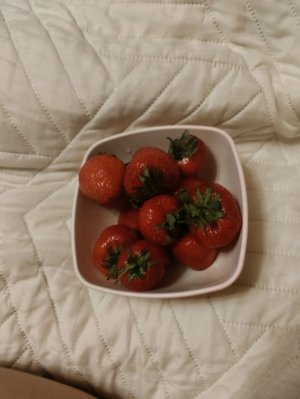 Я гуляю с парнем Федей