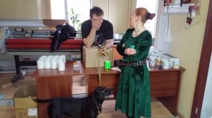 Калейдоскоп Жил Был Пёс 🐕  Чибо Моя Жизнь Кино 🎬 Музей Псов