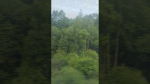 вид из окна