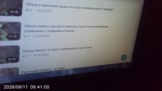 Сравнение выращивания кабачков в текущем 2026 и прошлом 2025 годах