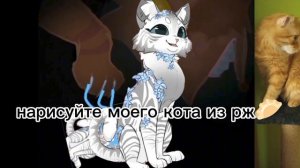 конкурс до 30 июня❗❗ кот из рж это точно