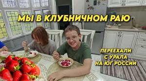 1160 Жизнь после переезда/Самосбор клубники/Обзор наших повседневных  дел