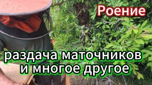трудовые будни или опят день сурка #пчеловодство #пчелы #топ