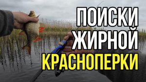 | В поисках жирной красноперки | Clear Blue Crystar 511 Bask |