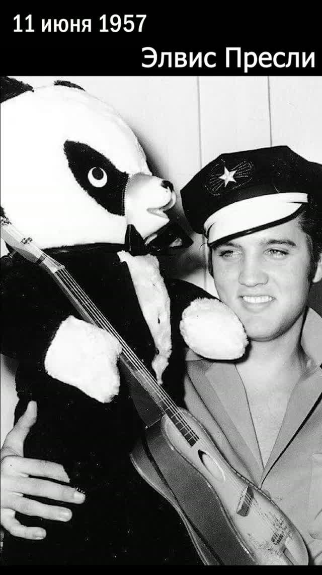 🧸 11 июня 1957 года Элвис Пресли выпустил сингл «(Let Me Be Your) Teddy Bear»